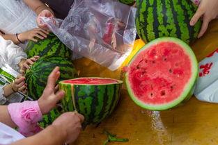 吃蜜瓜视频,甜蜜滋味，尽在这一刻