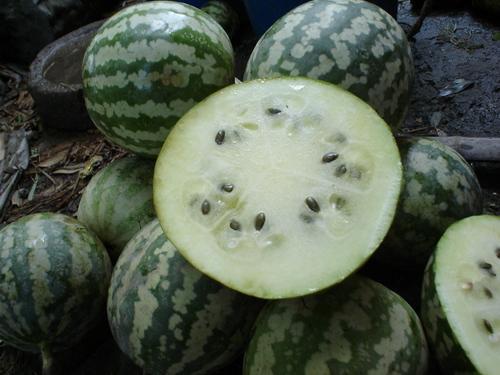 刚买的瓜怎么吃才好吃视频,新手必看！瓜类美味食用攻略