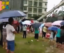 好奇害死猫吃瓜视频,揭秘吃瓜视频背后的真相与争议