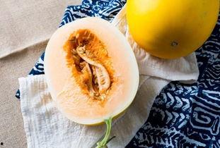 吃民勤蜜瓜的视频,甜蜜滋味尽收眼底