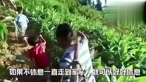 校园六人吃瓜视频下载,揭秘校园生活趣味瞬间