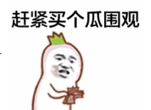 兰州吃瓜视频表情包下载,趣味横生的网络潮流