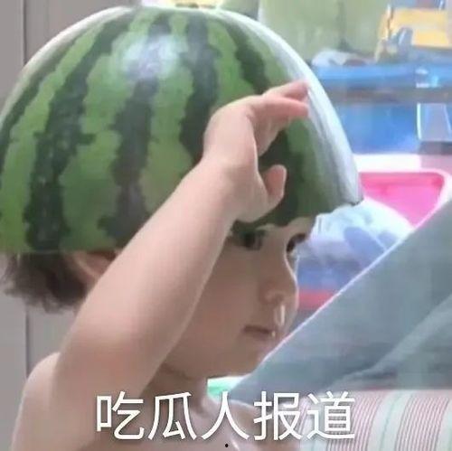 吃瓜看沙雕视频文案,沙雕视频里的欢乐时光