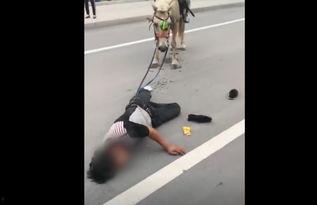 男子马路吃瓜视频大全播放,男子马路吃瓜视频大全，笑料百出引网友热议