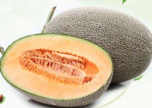 家伟吃哈密瓜视频大全,视频大全回顾