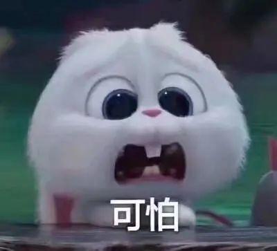 浦东吃瓜群众事件真相视频,揭秘背后真相与网络舆论风暴