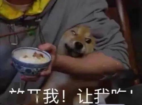 宿舍沙雕视频带你吃瓜,带你一窥校园吃瓜风云