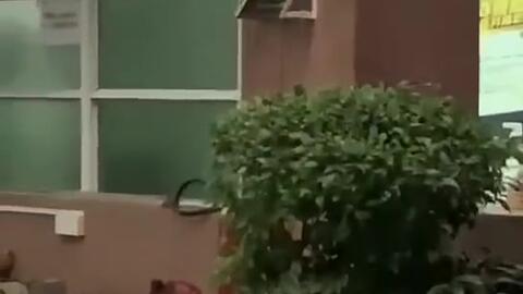 湘潭最新吃瓜新闻报道视频,揭秘热门事件幕后真相