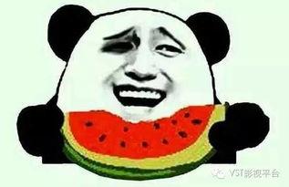 吃瓜群众戴墨镜视频大全,揭秘热门视频背后的趣味瞬间