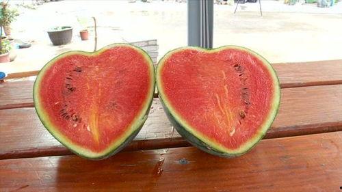 扎心的吃瓜视频,扎心吃瓜视频背后的真相与反思