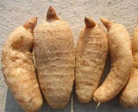 丽江天麻切片吃瓜视频,一场别开生面的吃瓜盛宴