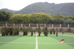 学姐军训吃瓜视频,揭秘军营生活点滴