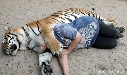 马虎虎吃瓜视频下载,揭秘热门短视频背后的下载攻略