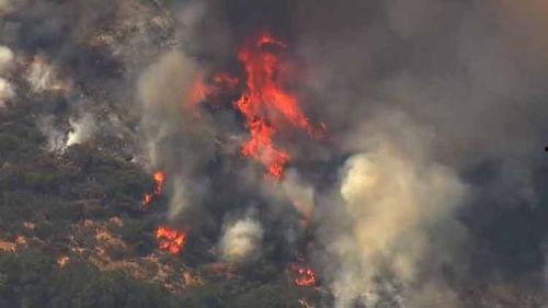 吃瓜真相森林大火视频