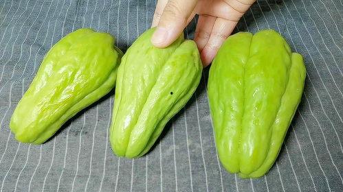 野猪吃佛手瓜视频大全集,佛手瓜视频大全集趣味盘点