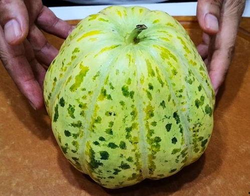 药瓜怎么吃最好吃视频,视频教你如何烹饪最佳口感