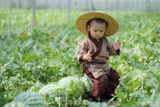 永川吃瓜视频最新消息曝光,最新事件幕后真相曝光